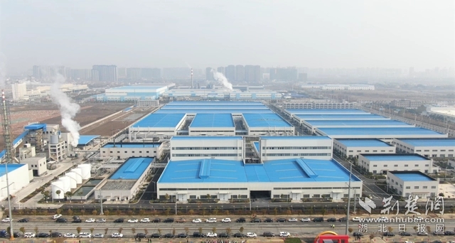 園區(qū)企業(yè)。記者 魯偉龍 攝.webp.jpg