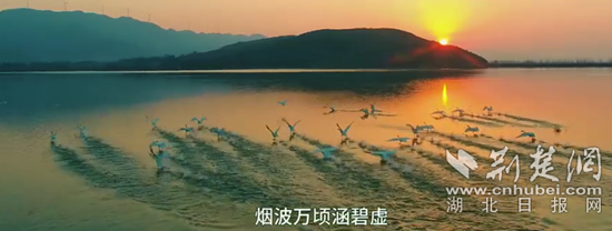 微信圖片_2025-08-29_165540_265.png